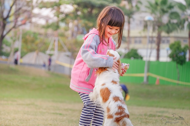 Kid Playing with Puppy