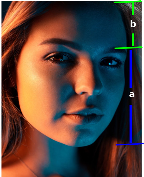 பொன் விகிதம் (Golden Ratio)