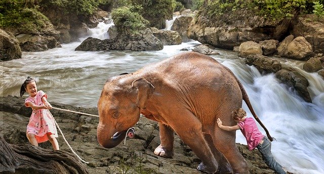 உருவுகண்டு எள்ளாமை 