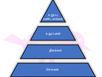 செல் - மனித உடல் கட்டமைப்பு