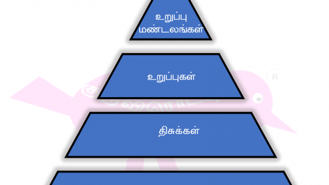 செல் - மனித உடல் கட்டமைப்பு