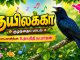 குயிலக்கா
